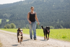 Foto-zu-Ueber-mich