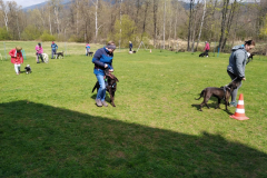 IMG-20221125-WA0026