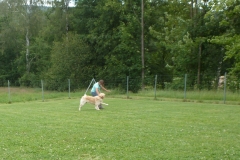 IMG_20200707_221046