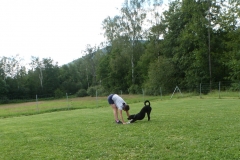 IMG_20200707_222619