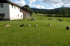 IMG_20200707_222716